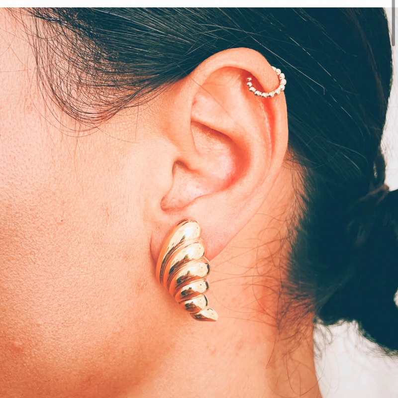 Shell Oversized Stud Earrings