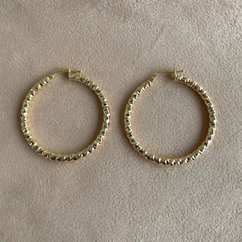 Hammered Hoop Earrings